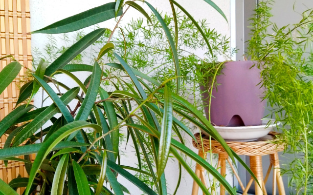 Vidovaya Loft Studiya ZhK Mankhetten Flat