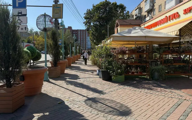 Arendagrad Kirova 61 Flat