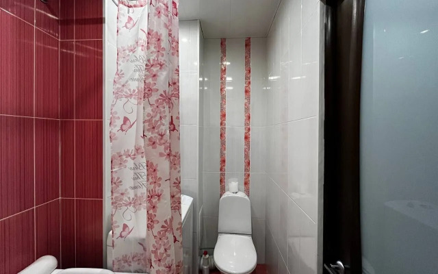 Uxozhennaya V Tsentpe Goroda Flat