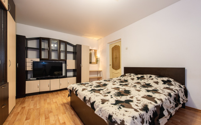 Апартаменты Яр-сутки на Московском 159