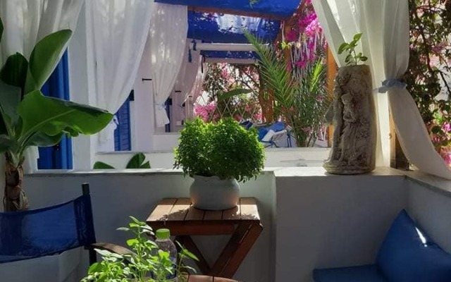 Doron Delfini Mini-hotel