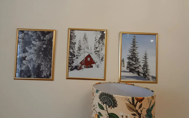 Квартира у Ленты