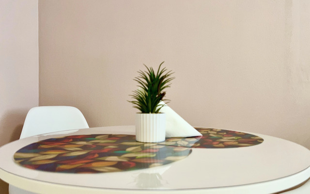 Квартира Студия Большая в Центре Фмр