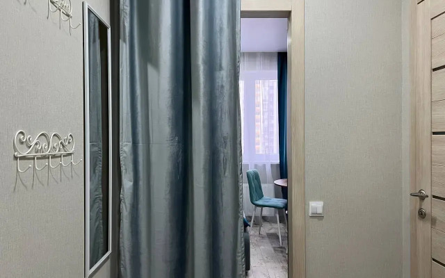 Shestimestnye Odnokomnatnye Lyuks Apartments