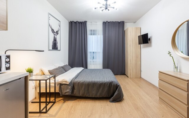 RoomyRoom City lights Apartments