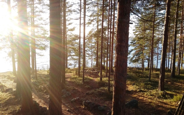 Коттедж Косалма