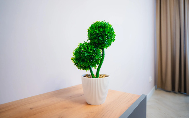 Квартира Уютная однокомнатная Kömfi