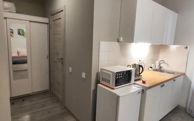 Na Vitebskom prospekte 99k1 Flat