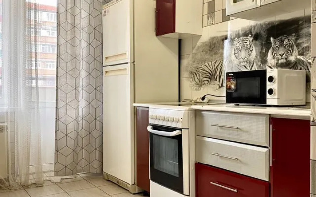 Квартира на Чкалова 65 (6/4)