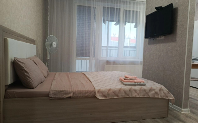 Uyutnaya Studiya V Novo-Patrushevo Apartments