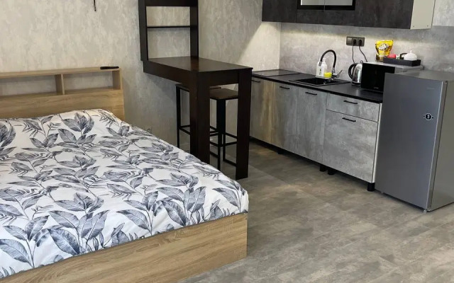 Studiya s Shikarnym Vidom Apartments