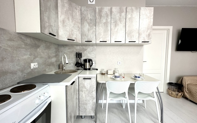 Landysh na Moskovskom Trakte, do Aeroporta 15 Minut Apartments