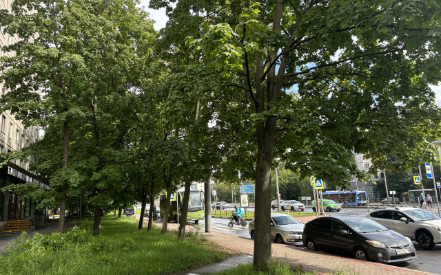 Уютная квартира на Заневском проспекте 32 рядом с центром