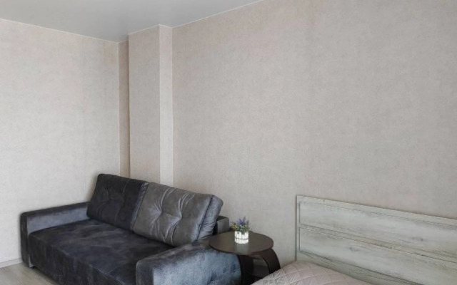 Na Prospekte Krasnogo Znameni 160A Flat