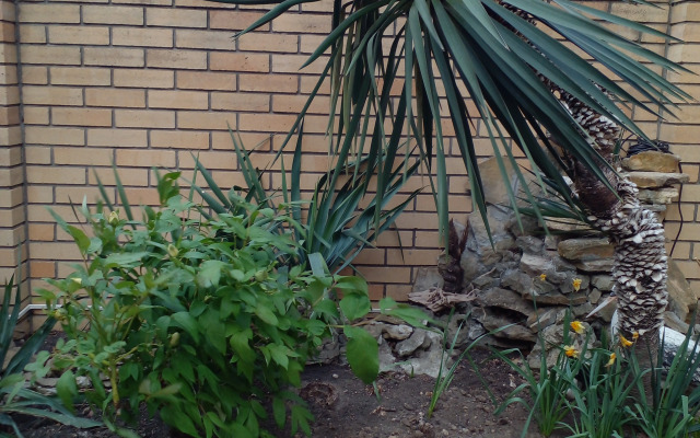 Yuzhny Ray Guest House