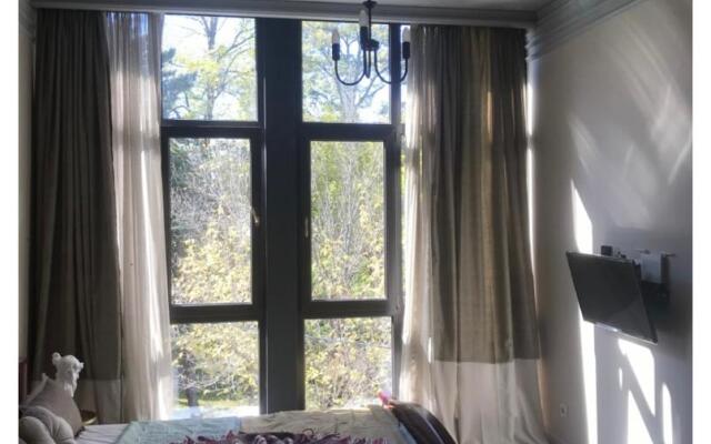 Uyutnaya Kvartira v Samom Tsentre Kislovodska Apartments