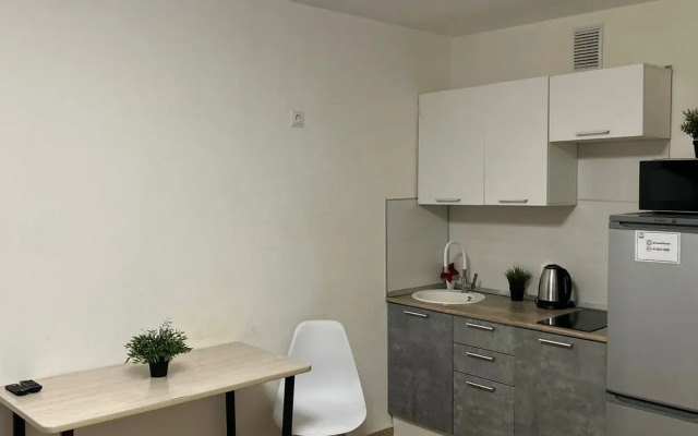 Dream House U Aeroporta Apartments