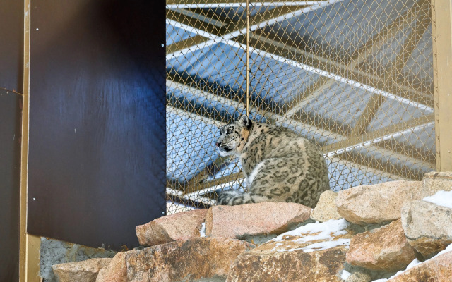 Отель Карым-Муны