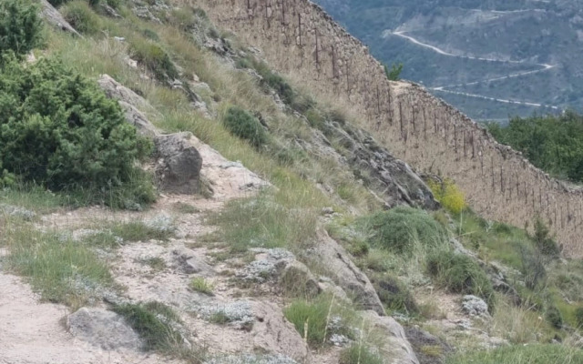 Шале Дом счастья на вершине