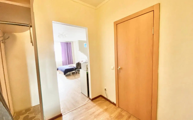 Квартира Уютная студия в центре города