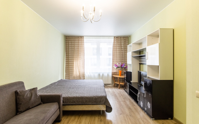 Na Moskovskom Vokzale Apartments