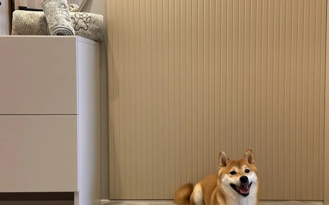 Отель Реформа на Ладожском