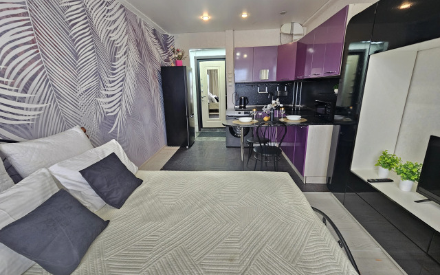 Квартира уютная студия