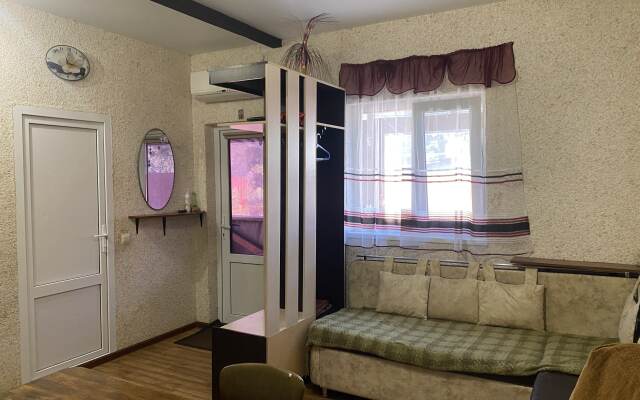 № 296 | Pionerskaya Private house