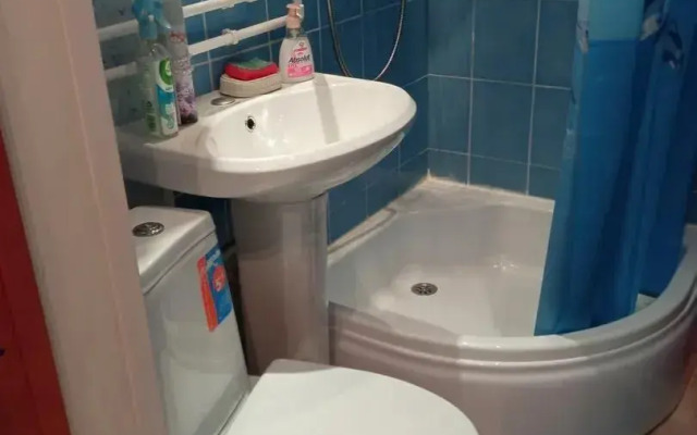 V Tsentre Goroda Flat