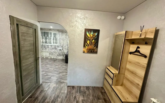 Odnokomnatnie Uzhurskaya Den & Noch 5 Apartments