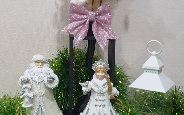 Квартира березовская 22