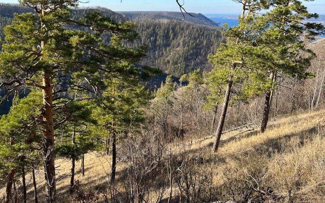 База отдыха Зольное Вилладж