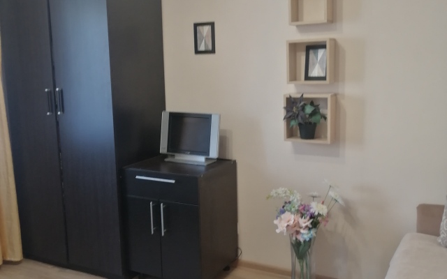 Апартаменты Трехкомнатная квартира на Папанина 3