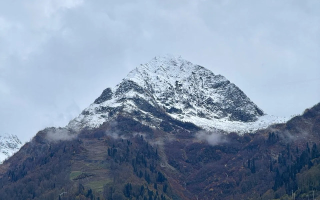 Апартаменты На Красной Поляне