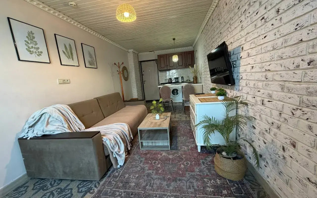 Апартаменты Просторные стильные апартаменты