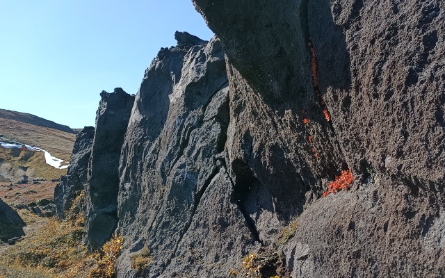 Cottages Goryachaya Sopka