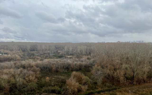 Квартира Сдулся на Космической 4г