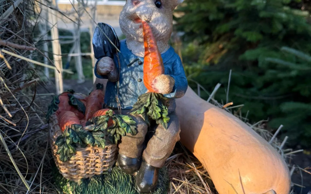 Гостевой дом Дом Кролика от Травел Хотелс Антураж