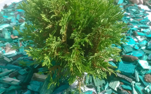 Частный дом А-Фрейм в Деревне Дуброво