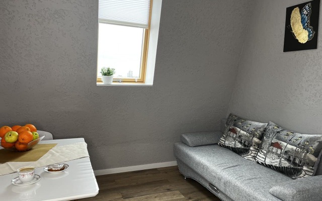 U Zamkovogo Pruda 1 Apartments