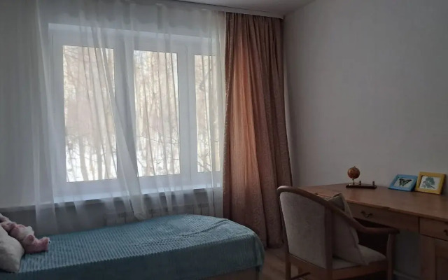 Na Chernitsynskom Proyezde, 8s1 Flat