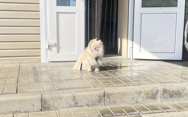 Гостевой дом Лилия