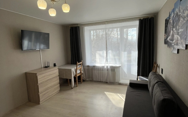 Квартира уютная рядом с парком в Павловске