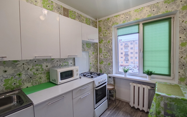 Na Lenina Flat