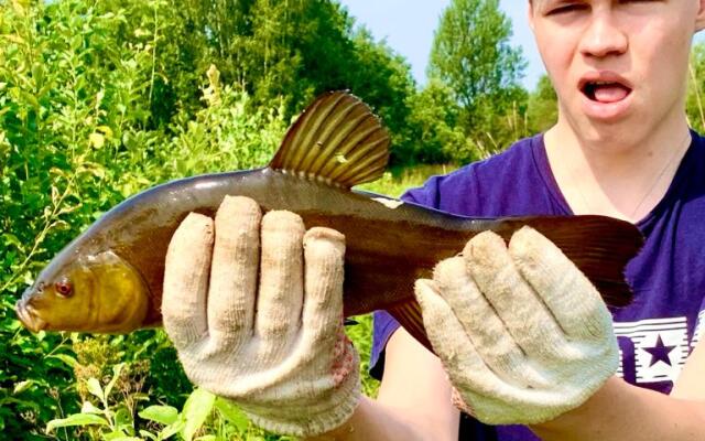 Изба Пасечника Пятиместная Хутор Медовый