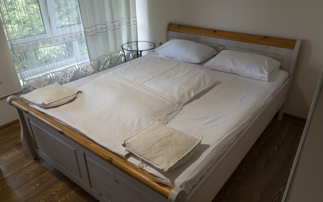 Zolotoj  Gus' Guest House