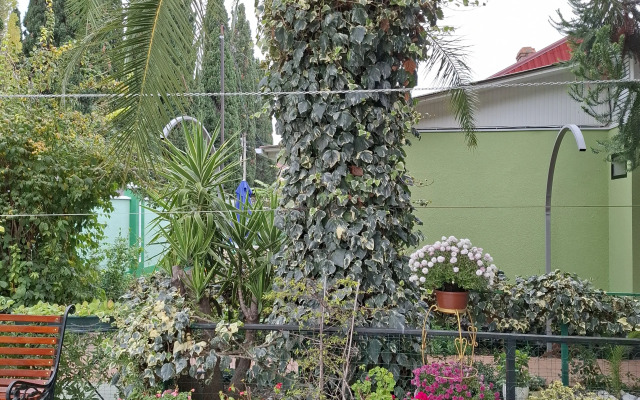 Veronika Guest house