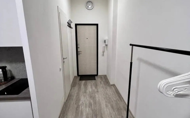 Апартаменты на Московской