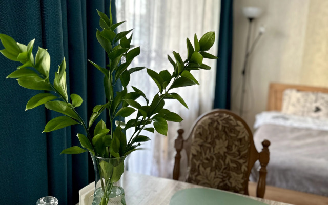 V Tsentre Po Priyatnoy Tsene Flat