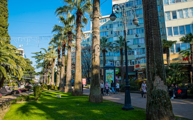 V Samom Tsentre Sochi S Novym Remontom Apartments